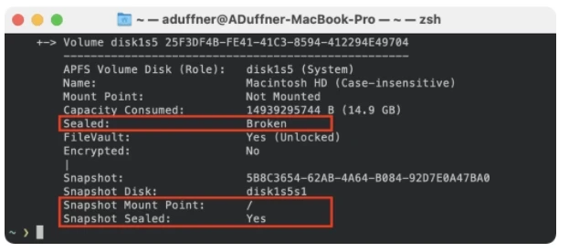 Grafik MacBook mit Intel-Chip | SPIRIT/21