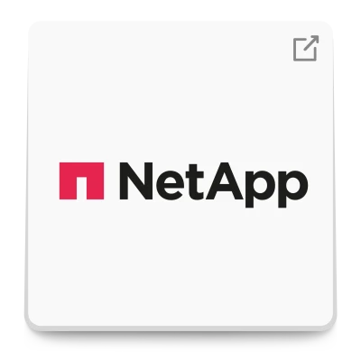 Logo NetApp | SPIRIT/21