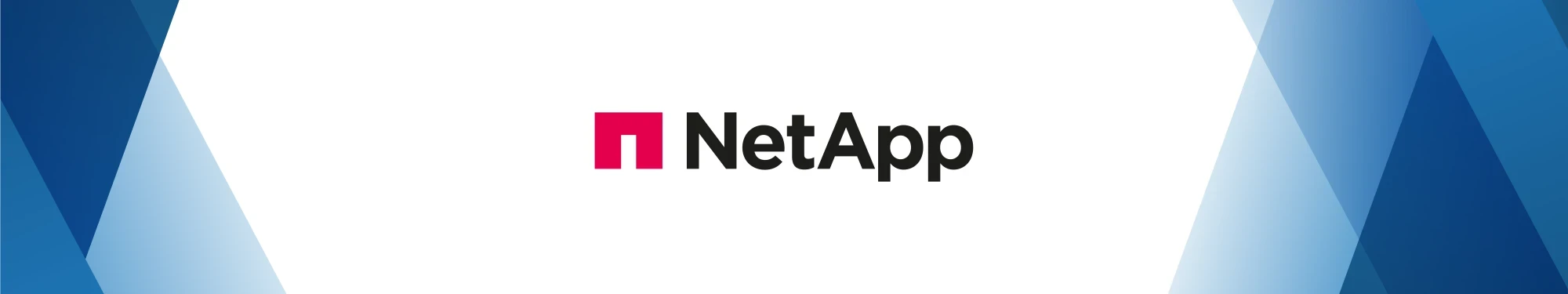 Partnerheader NetApp | SPIRIT/21