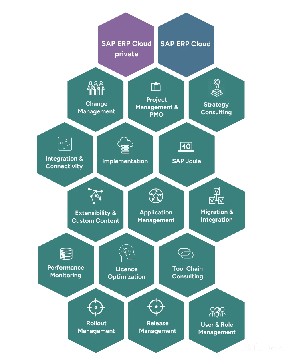 Portfolio SAP ERP Cloud